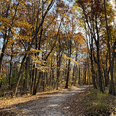 Forest Preserves Cook Co.